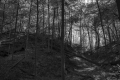 _IMG6367_BW_lores