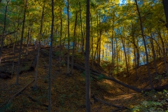 _IMG6367_V2_lores