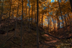 _IMG6367_V3_lores