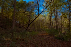 _IMG6382_V2_lores