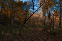 _IMG6382_V3_lores