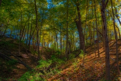 _IMG6391_V2_lores
