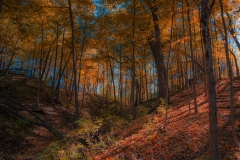 _IMG6391_V3_lores