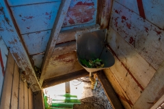 _IMG6376