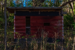 _IMG6388