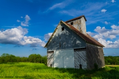 IMG0058_Shed_lores