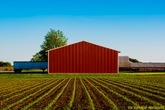 IMG1586_red_farm_shed_lores