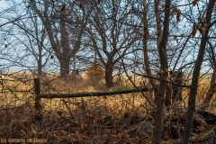 IMG2212_farm_fence_lores