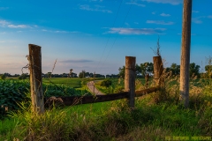 IMG2227_fence_rail_lores
