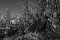 IMG6508_red_barn_woods_BW_lores