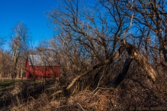 IMG6508_red_barn_woods_lores