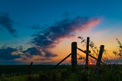 _IMG2281_Finnie_Road_lores