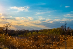 IMG3696_spring_sunset_lores