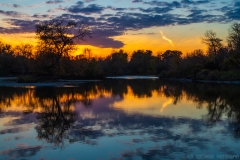 IMG6558_lone_river_tree_lores