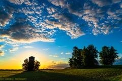 IMG0832_elevator_glow_lores