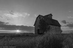 IMG1521_barn_grass_sunset_BW_lores