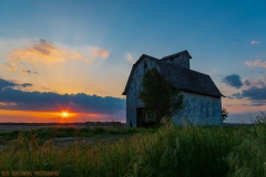 IMG1521_barn_grass_sunset_lores