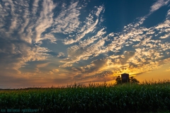 IMG3092_silo_lores