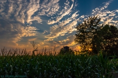 IMG3094_silo_lores