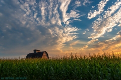 IMG3098_barn_hiding_lores