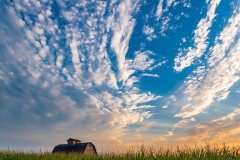 IMG3100_IMG3101_hiding_cropped_lores