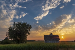 IMG3121_friends_sunset_lores