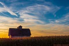 IMG3599_fall_harvest_lores