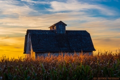IMG3602_fall_harvest_lores