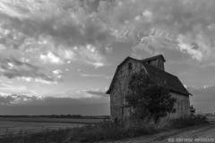 IMG3710_barn_harvest_BW_lores