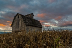 IMG3771_harvest_barn_lores