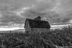 IMG3777_harvest_barn_BW_lores