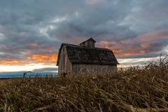 IMG3777_harvest_barn_lores