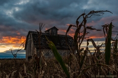 IMG3778_The_Barn_Harvest_Time_lores