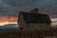 IMG3781_harvest_barn_lores
