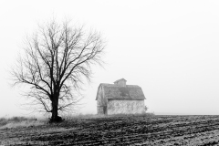 IMG4430_barn_fog_bw_3_lores