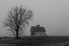 IMG4430_barn_fog_bw_lores