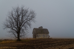 IMG4430_barn_fog_color_lores