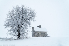 IMG4463_barn_tree_snow_lores