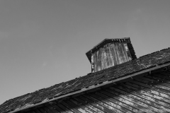 IMG8782_the_barn_roof_BW_lores