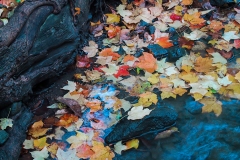 110_1045_IMG_creek_edge_lores