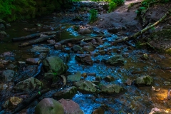 IMG2721_creek_run_lores