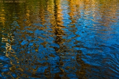 IMG3813_fall_creek_reflection_detail_lores