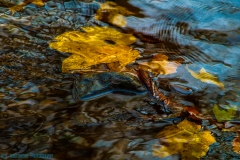 IMG3931_creek_bed_lores