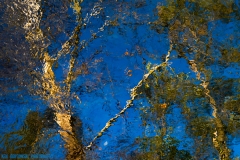 IMG4033_water_abstract_lores