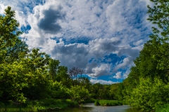 IMG4112_summer_creek_lores