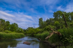 IMG4225_blackberry_creek_lores