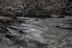 IMG4369_creek_rock_V2_lores