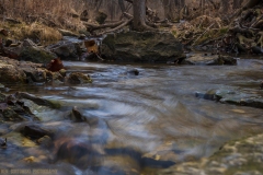 IMG4369_creek_rock_lores