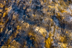 IMG4936_creek_ripples_lores