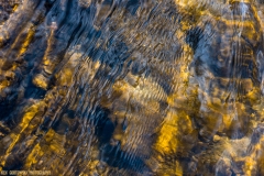 IMG4937_creek_ripples_lores